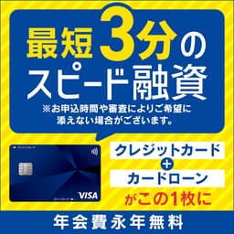 【高還元】プロミスVisaカード